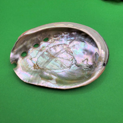 Abalone Sea Shell: beauty, life, flow, love | for burning sage, incense, display, holding jewelry etc.